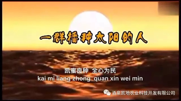 ȫʡr(nng)I(y)F(xin)FC݅^(q)^ĦW